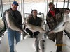 (04/02/2017) - Nice Striped Bass